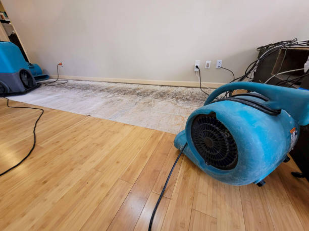 Professional Structural Drying technician working in Oak Brook, IL